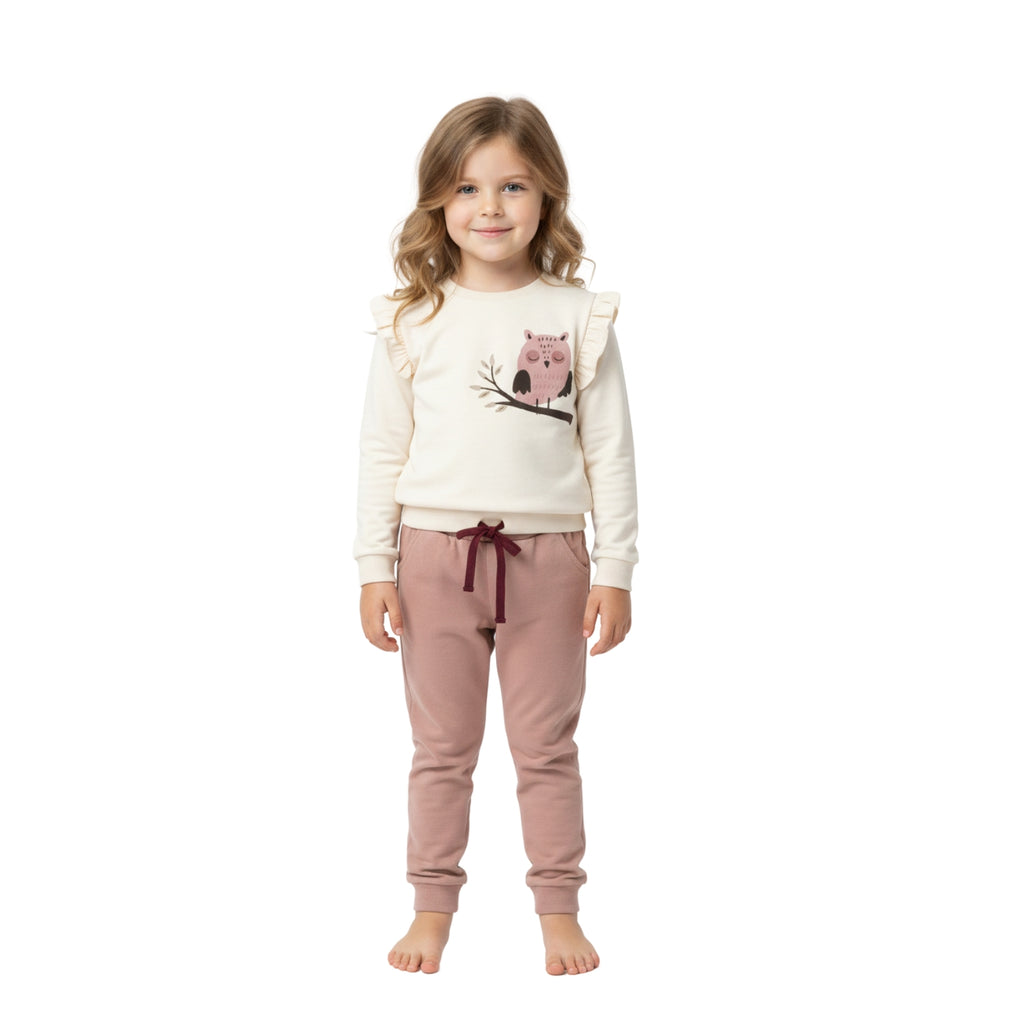 3er Set | sleeping owl